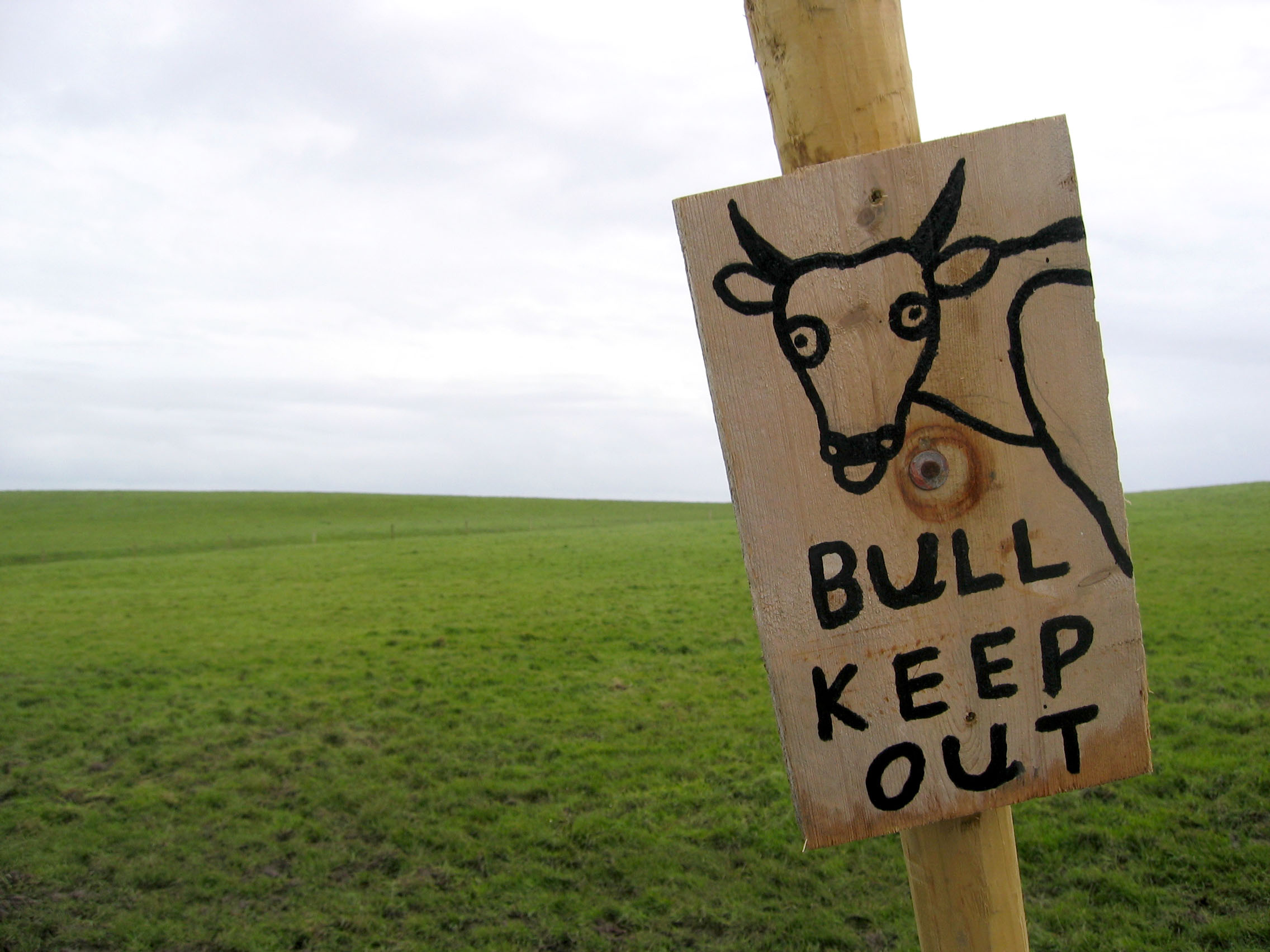 Sign saying no bull keep out