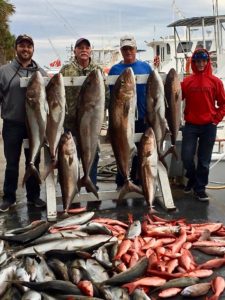 catching fish by Panama City Beach Florida