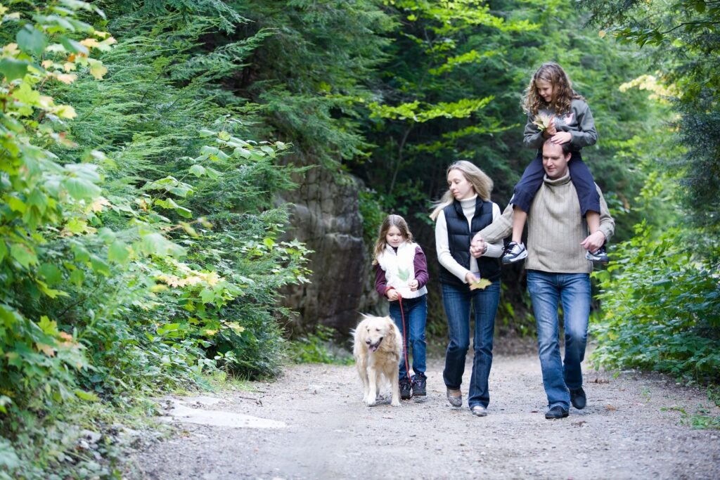 family walking in the wood